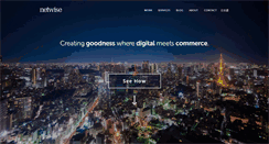 Desktop Screenshot of netwise.jp